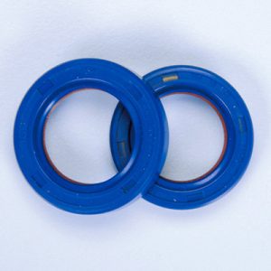 paraolio_285.0001 polini